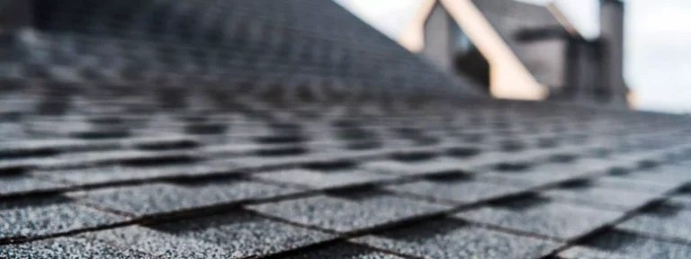 shingle roofing